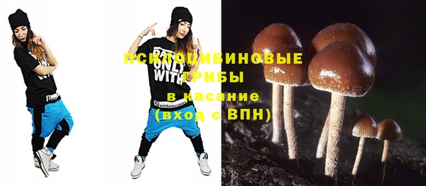 хмурый Абинск