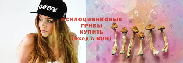 бошки Алзамай