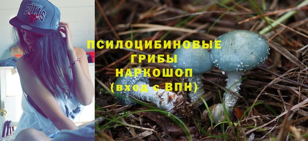 шишки Алексин