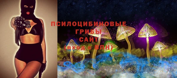 МДПВ Абдулино