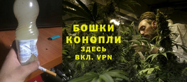 шишки Алексеевка