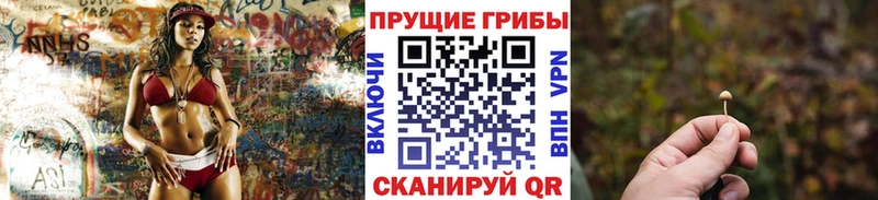 OMG ТОР  где купить наркоту  Тавда  Псилоцибиновые грибы GOLDEN TEACHER 