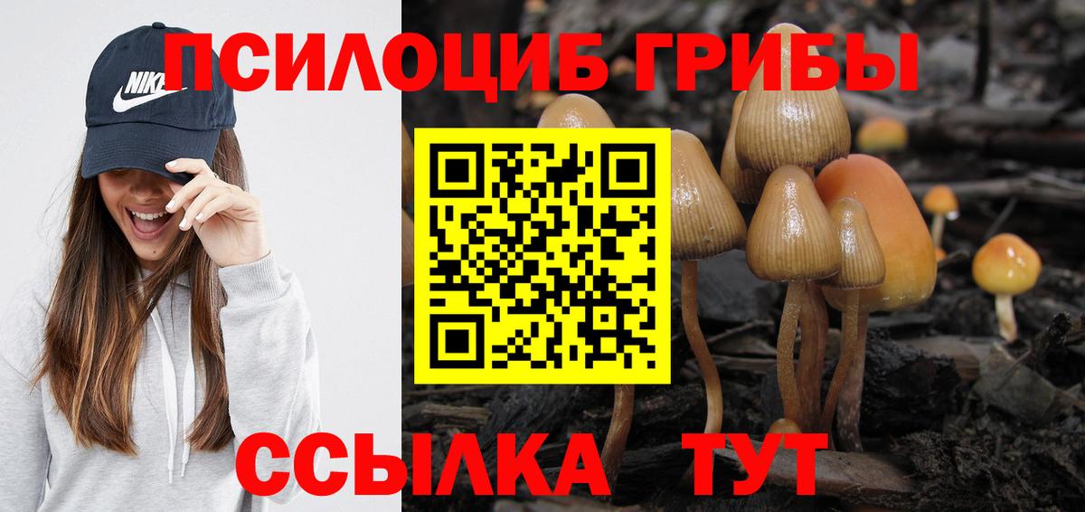 как найти   Псилоцибиновые грибы Psilocybine cubensis  Вход с VPN  Псилоцибиновые грибы Psilocybine cubensis  Тавда 
